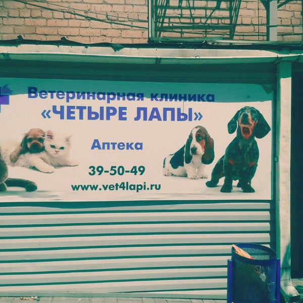 4 лапы волжский. Ветеринарная клиника четыре лапы Волгоград. 4 Лапы ветклиника. Четыре лапы ветеринарный центр. Четыре лапы Смоленск ветклиника.