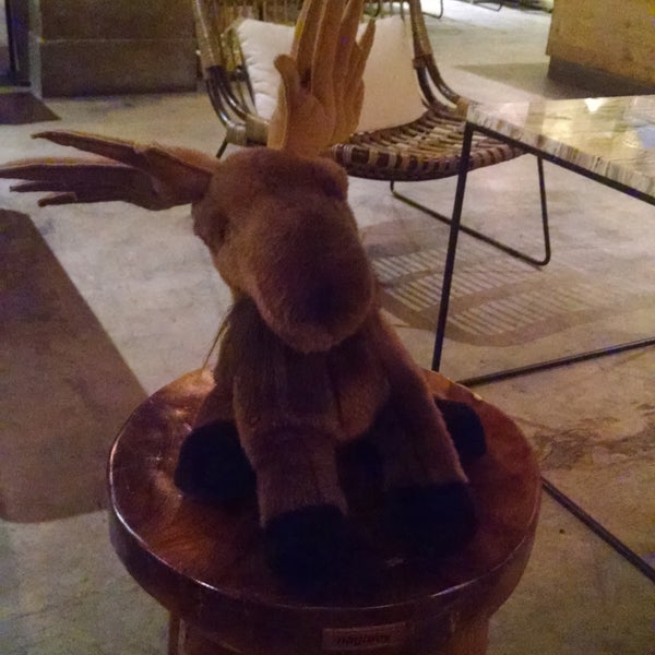 You can find mr. moose with his soft antlers. He usually sits there facing the dark corner of the room.