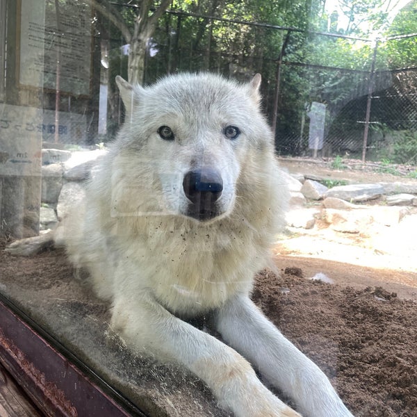 とくしま動物園 寒帯区 27 Visitors