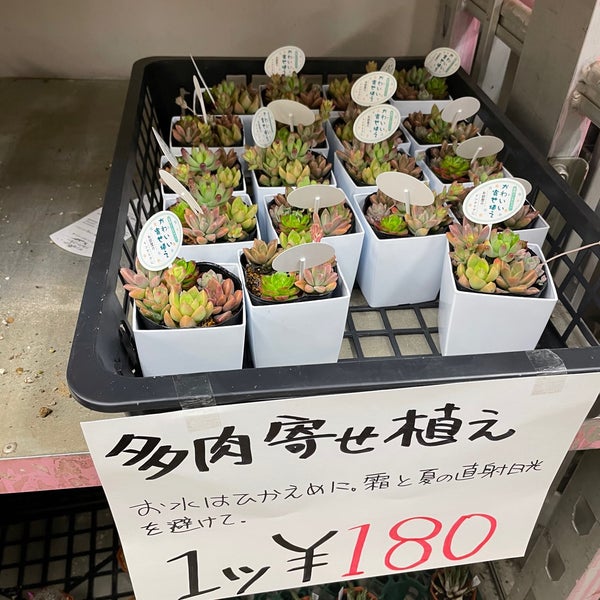 Photos At フラワーショップ潤 中央区 中央区磯上通8 1 11 Photos At フラワーショップ潤 中央区 中央区磯上通8 1 11