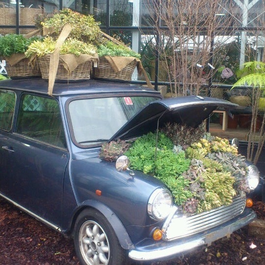 Photos At 平田ナーセリー 福岡西区小戸店villaggio Garden Center In 福岡市