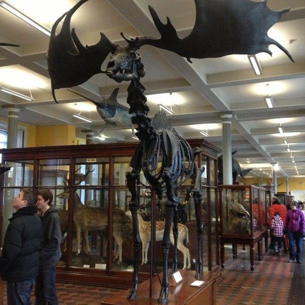 The National Museum Of Ireland Natural History South East Inner City 49 Tips From 2916 Visitors