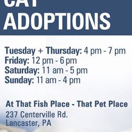 Cat adoptions are available weekly, please check our website for times :)