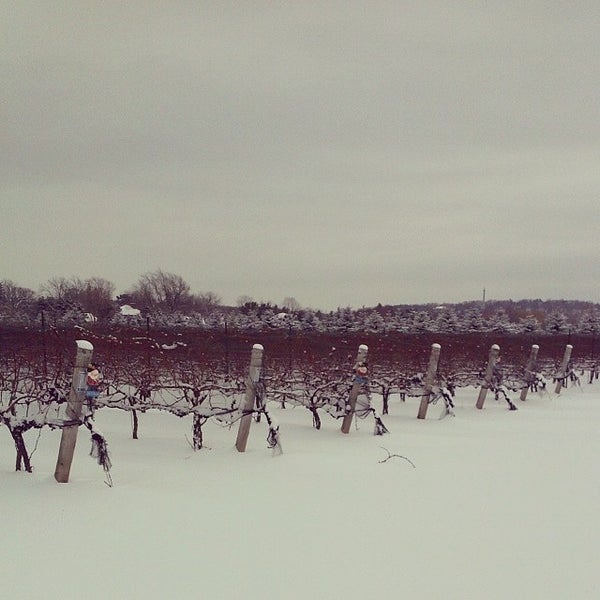 Das Foto wurde bei The Ice House Winery von credii am 12/15/2013 aufgenommen