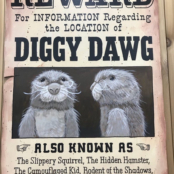 Photos at Trader Joe's Grocery Store in Santa Fe