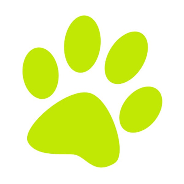 german shepherd and jack russell