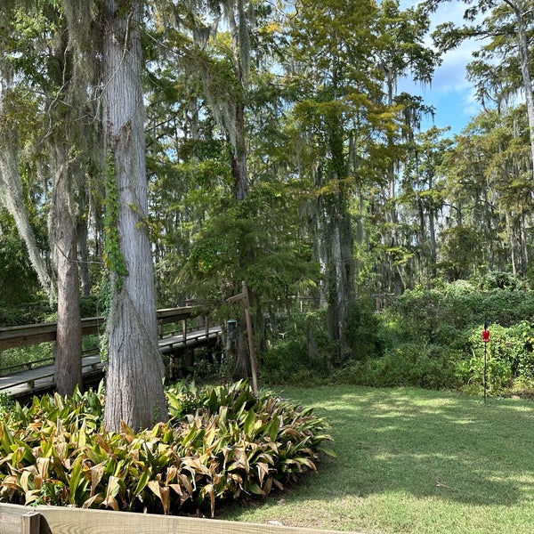 Cajun Encounters Honey Island Swamp Tour Slidell, LA