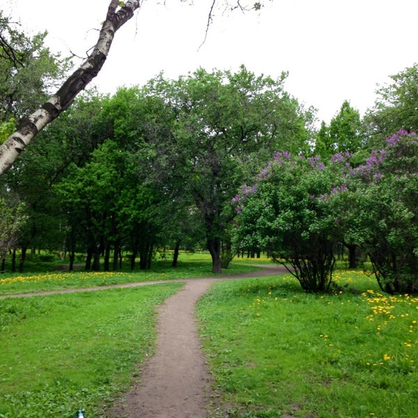 Парк куракина дача в санкт петербурге