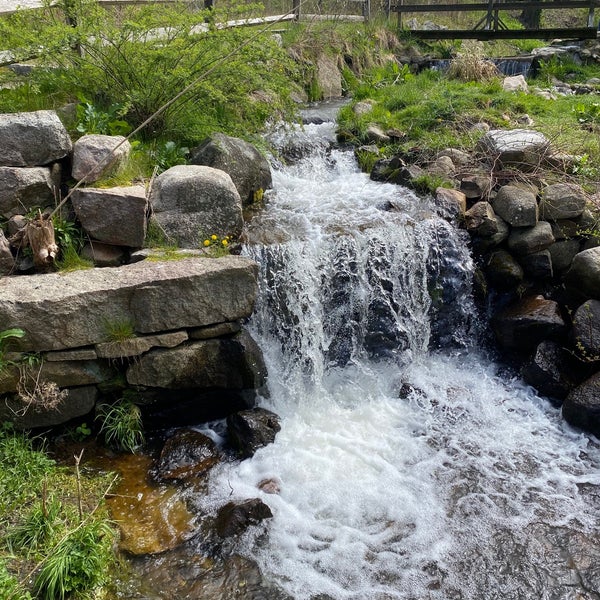 Herring Run 3 tips from 132 visitors