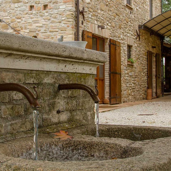 3/26/2015에 Agriturismo Podere La Fornace님이 Agriturismo Podere La Fornace에서 찍은 사진