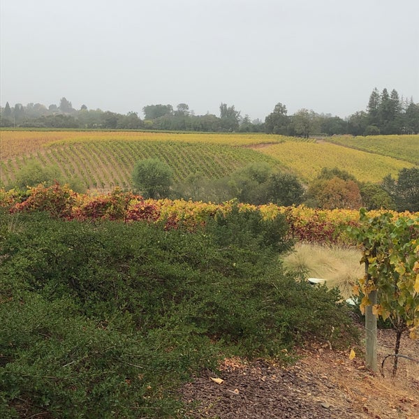 Foto tirada no(a) MacRostie Winery &amp; Vineyards por Huntington S. em 10/19/2019
