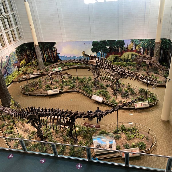 Photo taken at Carnegie Museum of Natural History by Brynn S. on 11/28/2020
