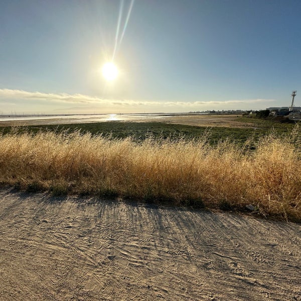 Photos at Stevens Creek Shoreline Nature Study Area - Nature