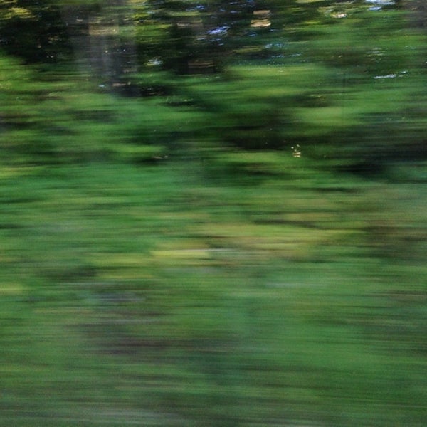 9/19/2014にChristel A.がGreen Mountain National Forestで撮った写真