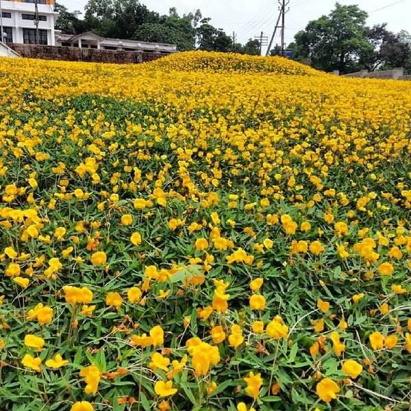 University of Calicut 2 tips