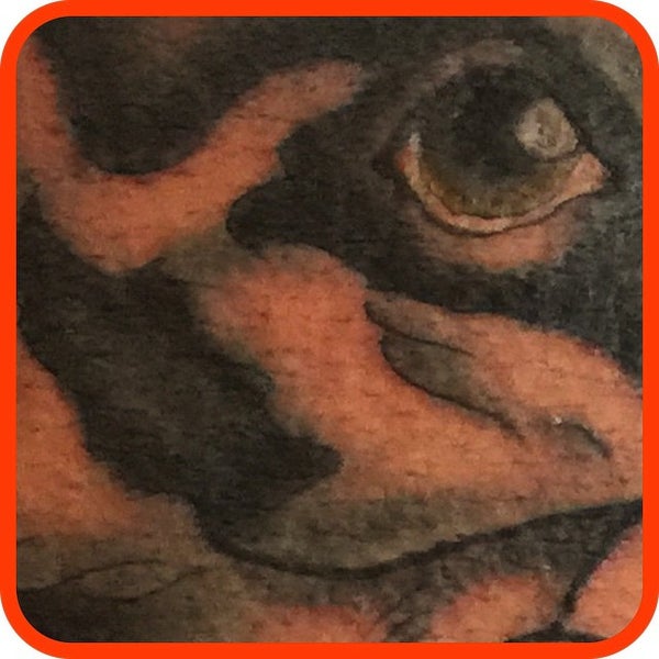 Half sleeve by Patrick Van Sandlyne of Wealthy Street Tattoo Grand Rapids  MI  rtattoos