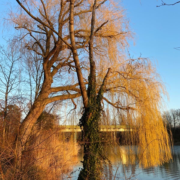 3/9/2022にMelanieがFloridsdorfer Wasserparkで撮った写真