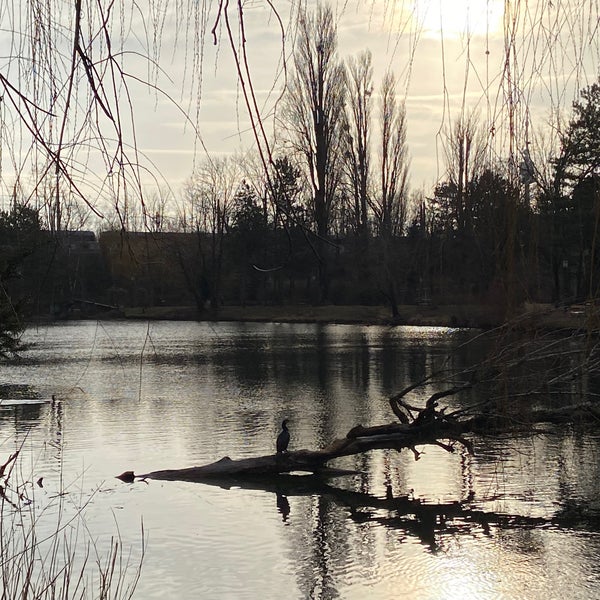 Foto scattata a Floridsdorfer Wasserpark da Melanie il 2/1/2022