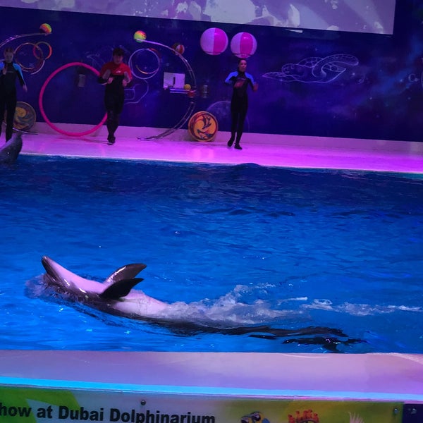 Photo taken at Dubai Dolphinarium by Eroo on 1/2/2018