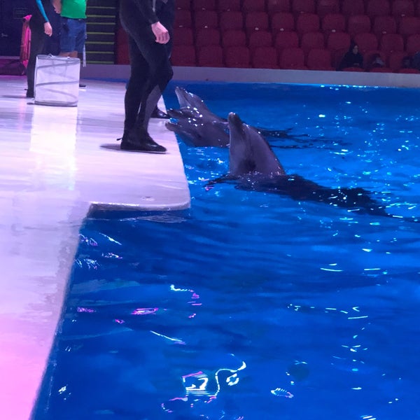 Photo taken at Dubai Dolphinarium by Eroo on 1/2/2018