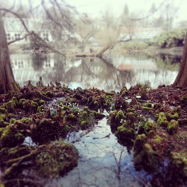 Photos At Botanischer Garten Botanical Garden In Munster