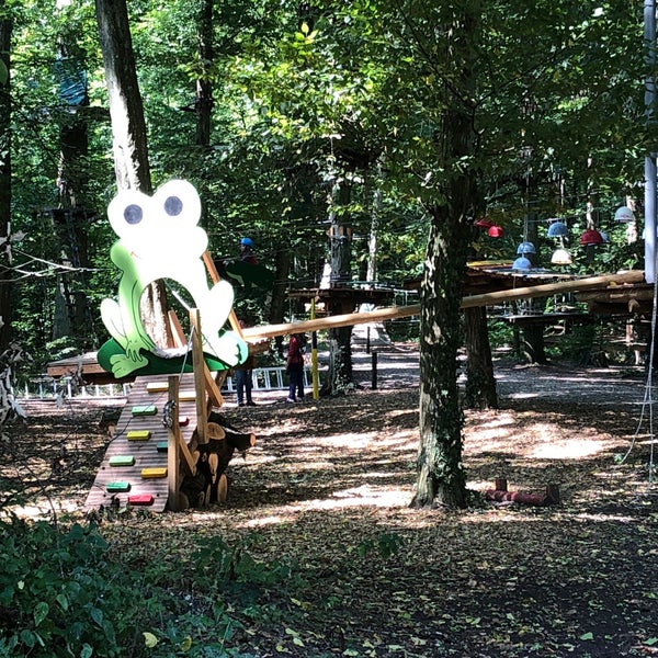 Fun forest. Fun forest