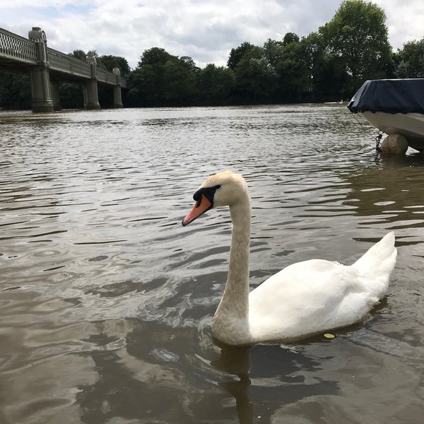 Das Foto wurde bei The City Barge von Rod S. am 6/16/2019 aufgenommen