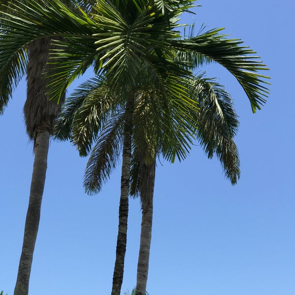 photos-at-nude-beach-couples-san-souci-beach-in-saint-ann