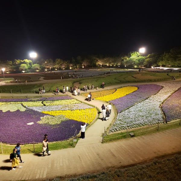 花ひろば展望台 桑名市 三重県