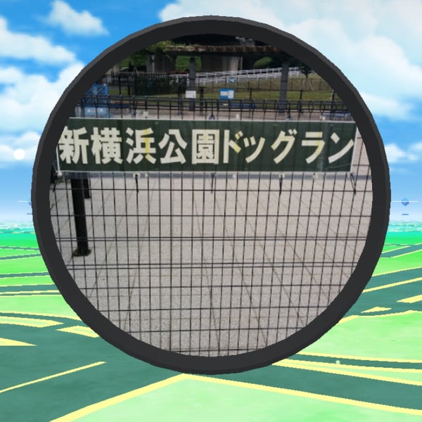 新横浜公園ドッグラン 港北区 0 Tips 新横浜公園ドッグラン 港北区 0 Tips