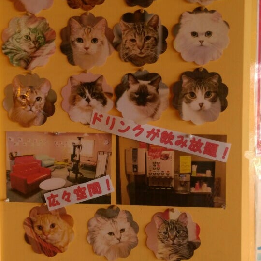 ねこカフェ アミパ前橋インター店 閉業 ねこカフェ アミパ前橋インター店 閉業