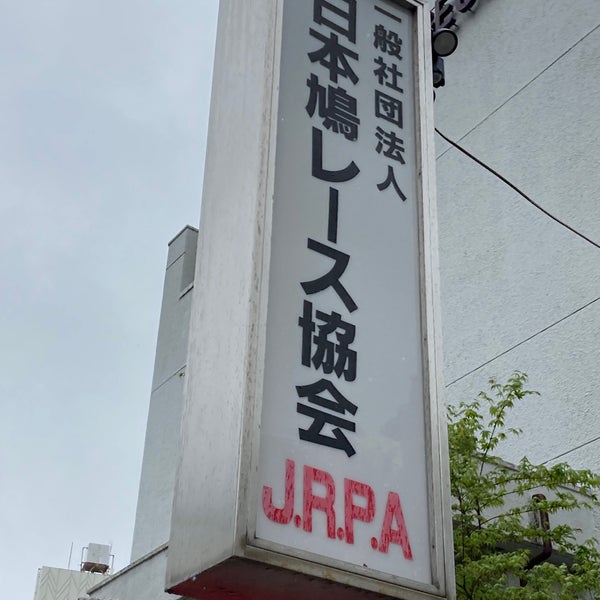 日本鳩レース協会 上野 327 Visiteurs