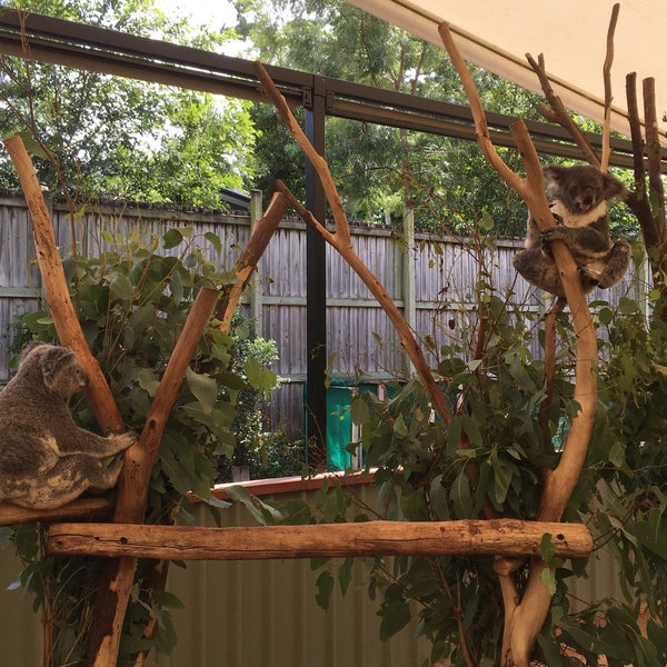 Больше не работает: Koala, пиццерия, Москва, поселение Внуковское, улица Лётчика