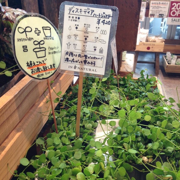 インナチュラル 越谷レイクタウン店 レイクタウン3 1 1