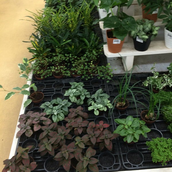 Photos At Dcmホーマック 宮前店 Furniture Home Store In 旭川市 Asahikawa City Photos At Dcmホーマック 宮前店 Furniture Home Store In 旭川市 Asahikawa City