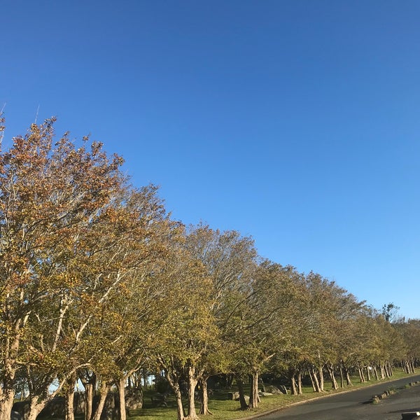 唐津市立松浦河畔公園 唐津市立松浦河畔公園