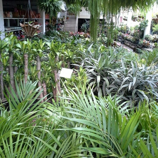 BOSQUE® Vivero y Artesanias Tienda de artesanía en Bucaramanga