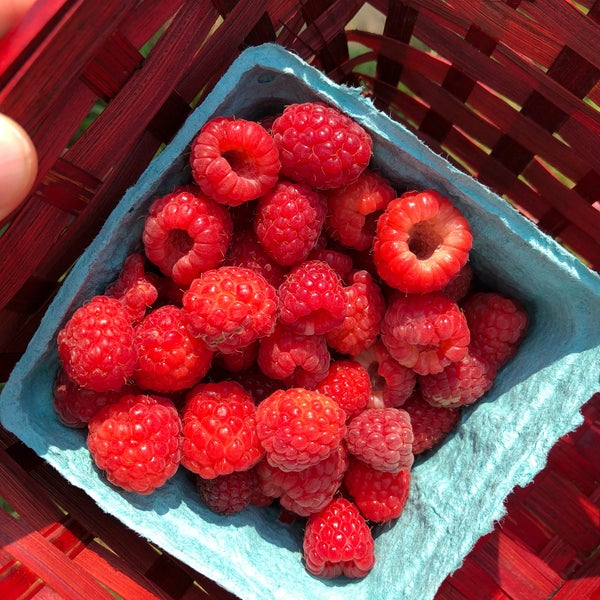 Great berry picking.
