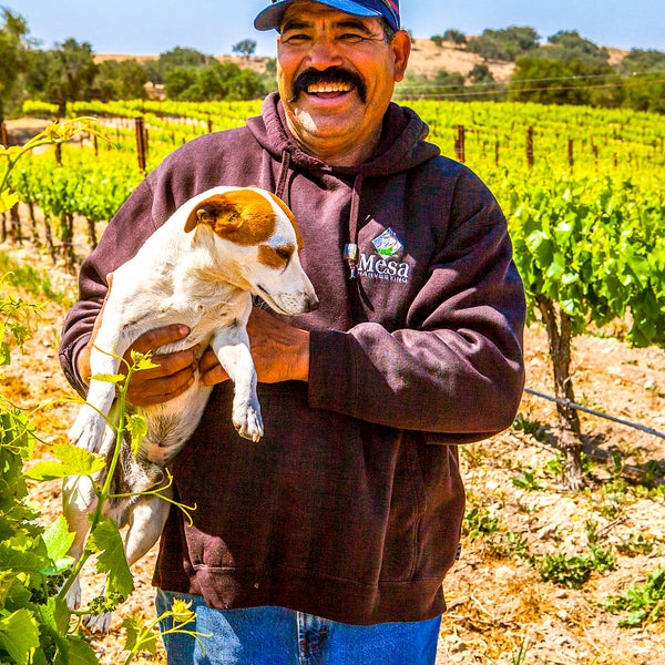 Foto tirada no(a) Zaca Mesa Winery &amp; Vineyard por Zaca Mesa Winery &amp; Vineyard em 4/3/2015