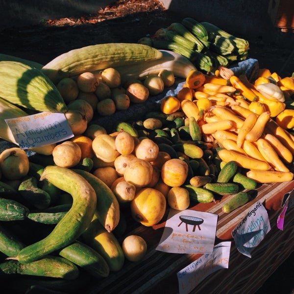 World Market Link