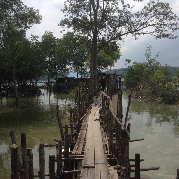 Jetty Tebing Runtuh 33 Visitors