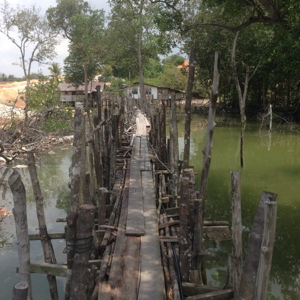 Jetty Tebing Runtuh 33 Visitors