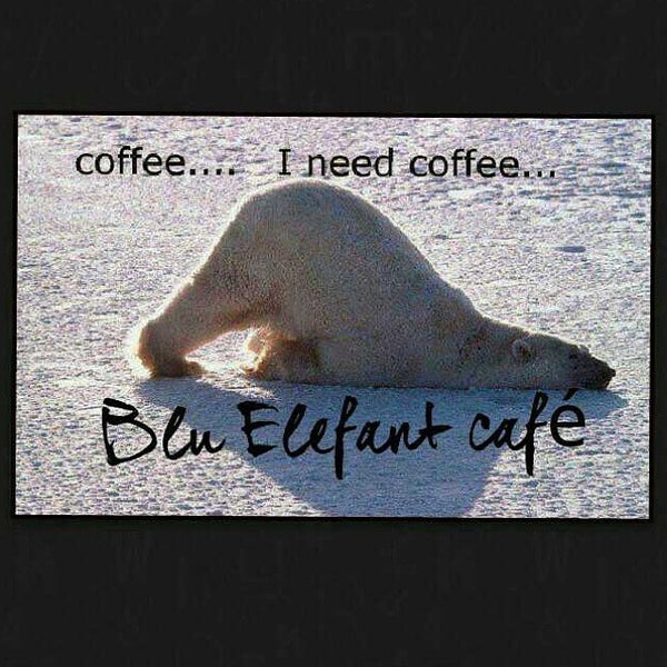 Das Foto wurde bei Blu Elefant Café von BLU ELEFANT C. am 12/4/2014 aufgenommen