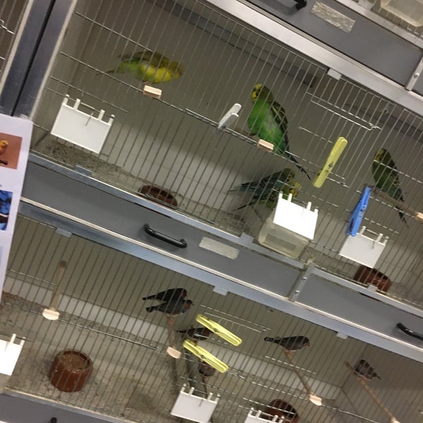 Aveve Filip Warnez Bedewaartstraat 82