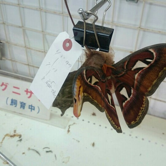 Photos At アヤミハビル館 3 Tips From Visitors