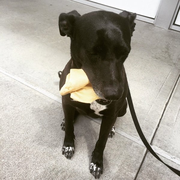 Petco Pet Store in Beaverton