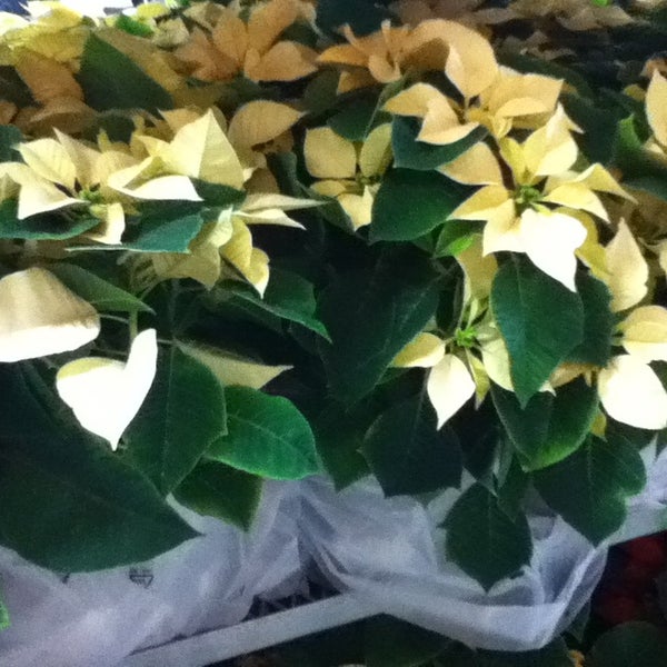 The Home Depot Regina, SK