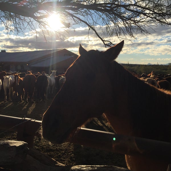 Photo taken at Tanque Verde Ranch by K*Mac on 12/29/2015