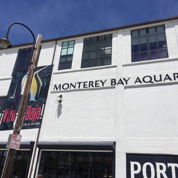 Photo prise au Monterey Bay Aquarium par Augusta B. le5/14/2016