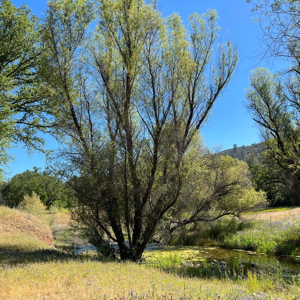 Folsom Lake SRA, Salmon Falls El Dorado Hills, CA